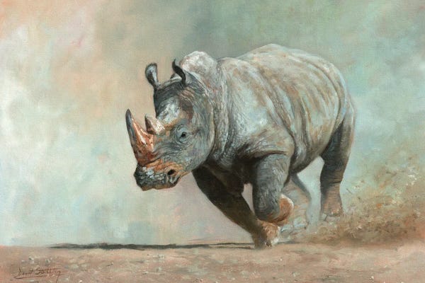 Rhinoceroses: Thunder Road by David Stribbling