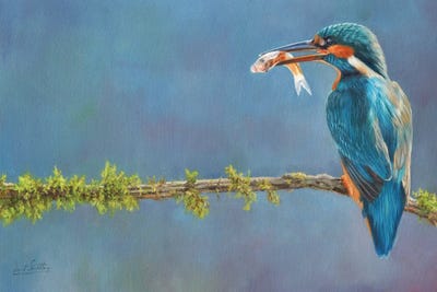 Catch Of The Day by David Stribbling art print
