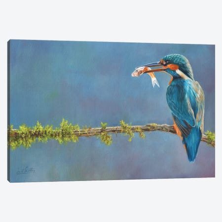 Catch Of The Day Canvas Print #STG273} by David Stribbling Canvas Wall Art