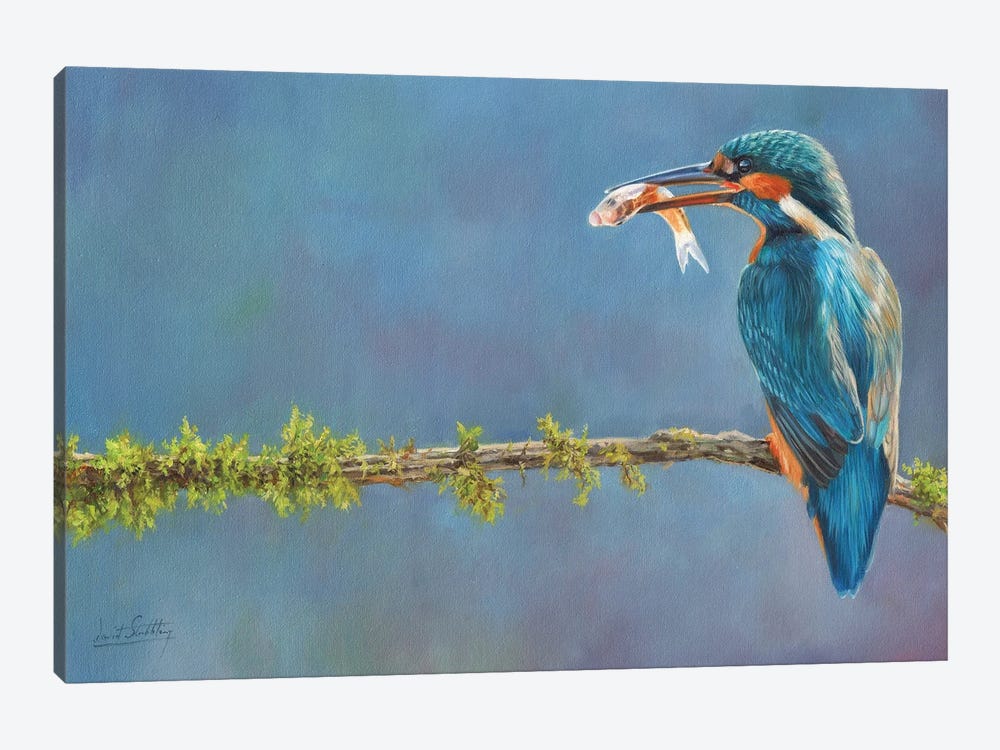 Catch Of The Day by David Stribbling 1-piece Canvas Wall Art