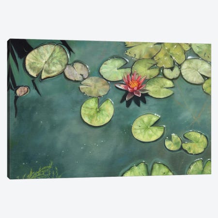 Lily Pond Canvas Print #STG274} by David Stribbling Canvas Print