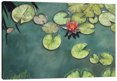 Lily Pond Canvas Art Print - Zen Garden