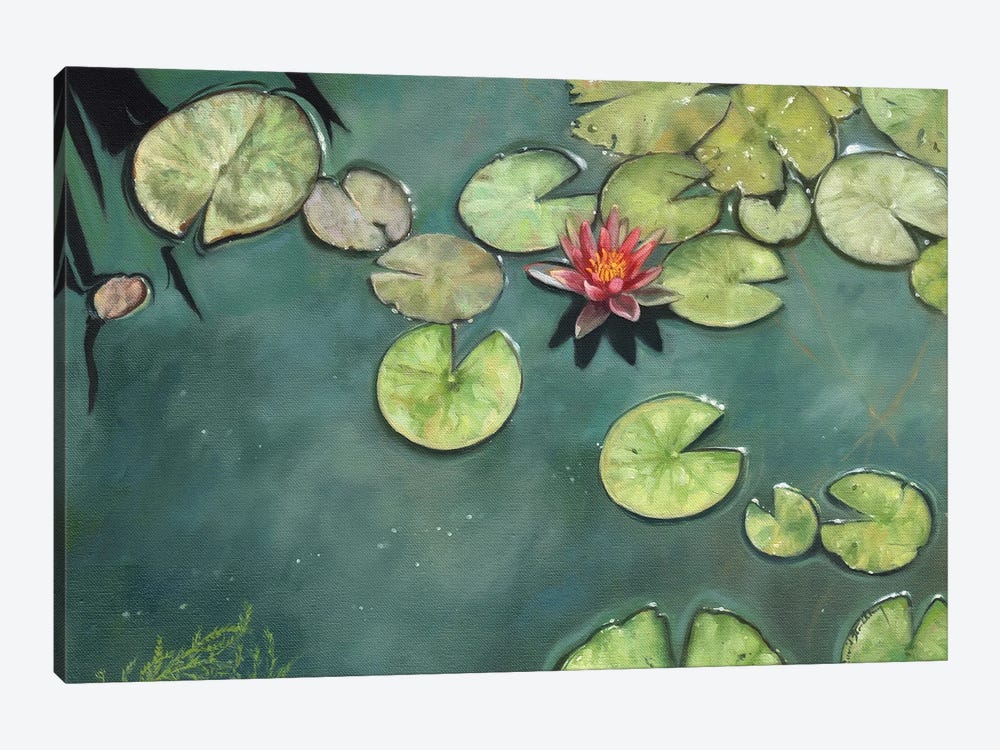 Lily Pond by David Stribbling 1-piece Canvas Print