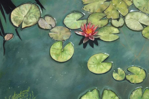 Zen Bedroom: Lily Pond by David Stribbling