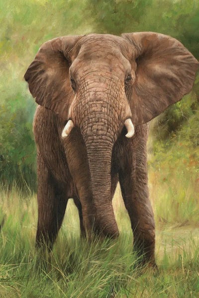 You Will Not Pass by David Stribbling art print