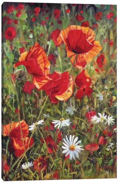 Poppies And Daisies Canvas Art Print - Daisy Art