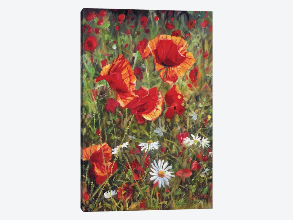 Poppies And Daisies 1-piece Art Print