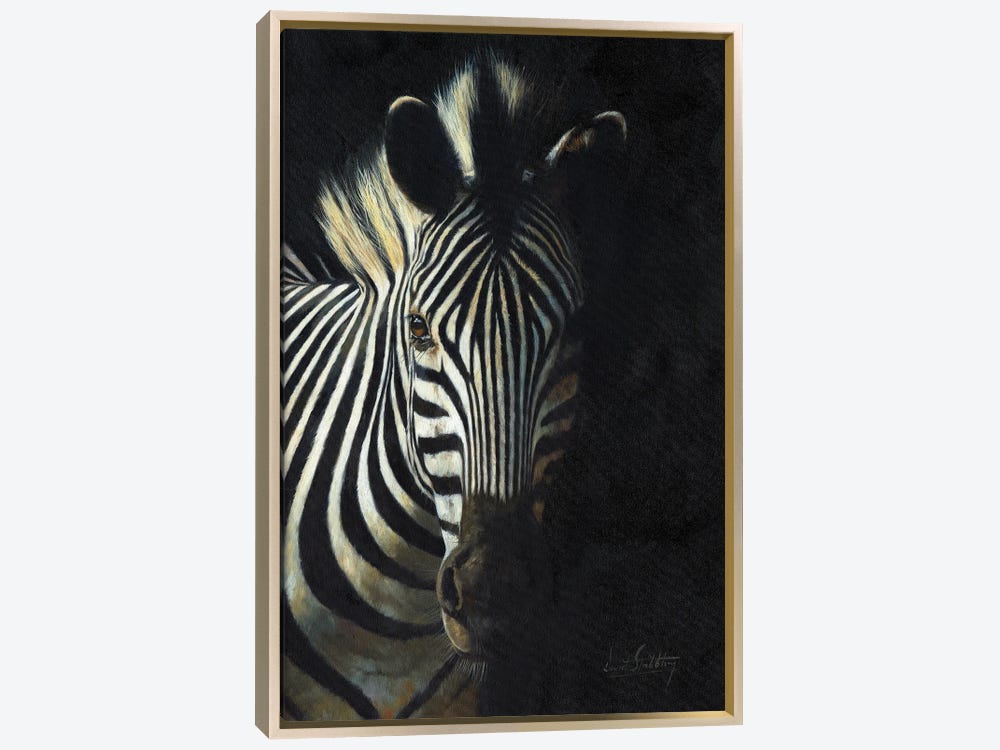 Zebra From The Shadows Canvas Art by David Stribbling | iCanvas