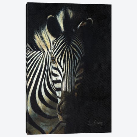 Zebra From The Shadows Canvas Print #STG277} by David Stribbling Canvas Print