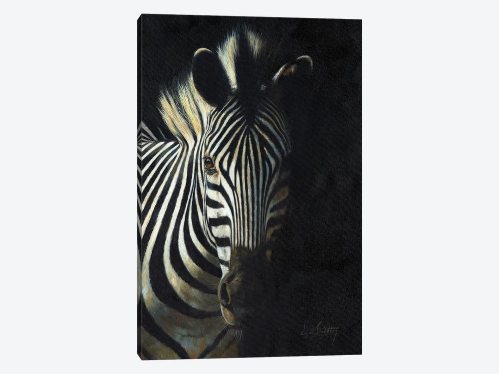 Zebra From The Shadows by David Stribbling 1-piece Canvas Art