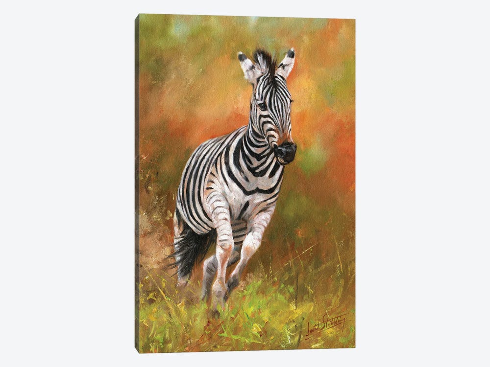 Zebra - Kicking Up Dust by David Stribbling 1-piece Canvas Artwork