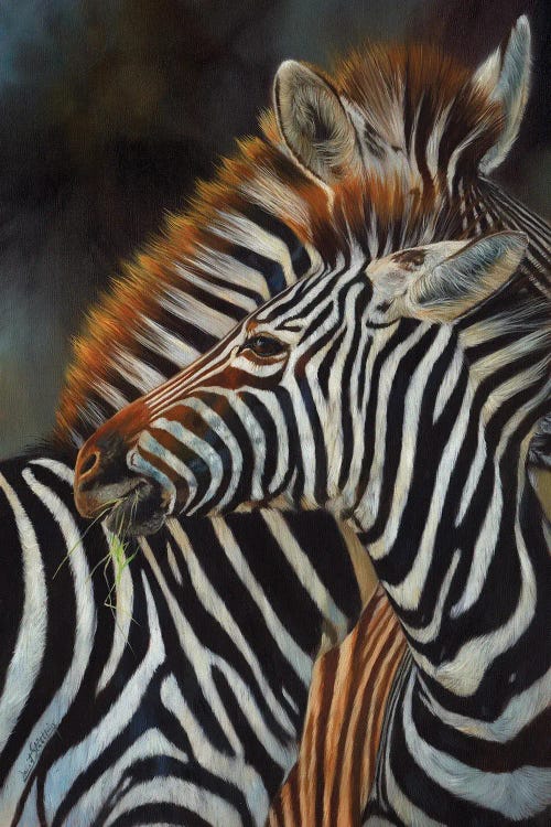 Pair Of Zebras by David Stribbling wall art