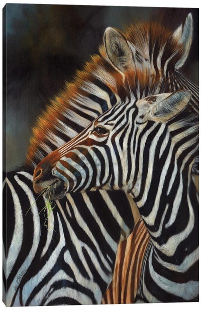 Pair Of Zebras Canvas Art Print - Zebra Art