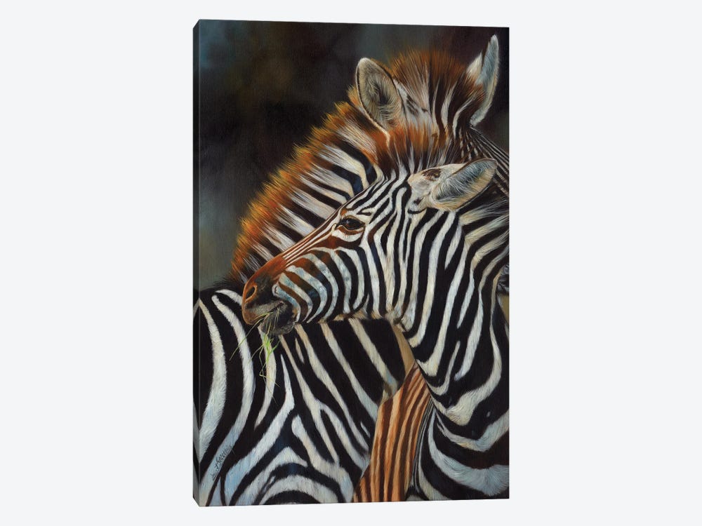 Pair Of Zebras by David Stribbling 1-piece Canvas Print