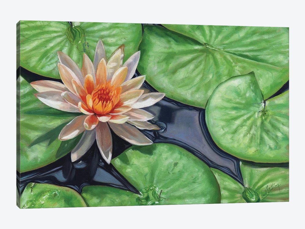 Water Lilies by David Stribbling 1-piece Canvas Wall Art