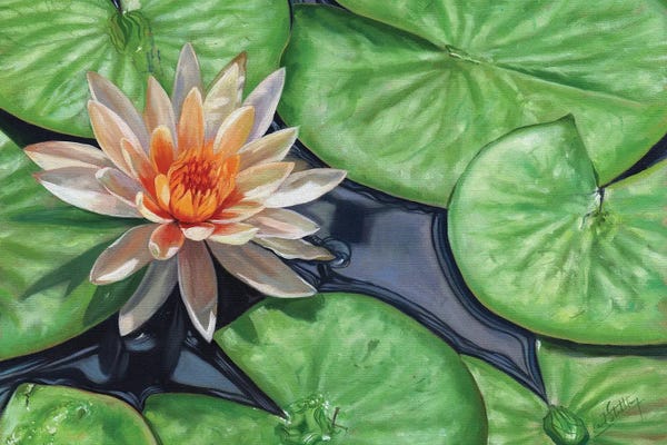 Zen Bedroom: Water Lilies by David Stribbling