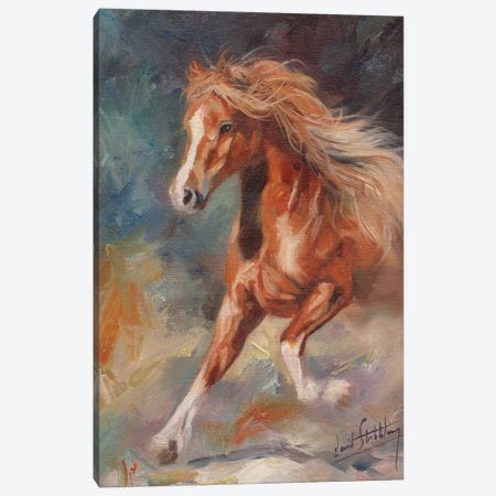 Dancing Horse Canvas Print #STG288} by David Stribbling Canvas Print