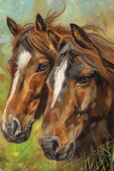 Horses Heads by David Stribbling art print