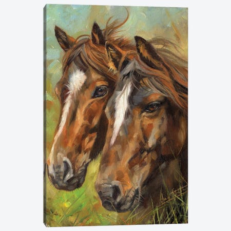 Horses Heads Canvas Print #STG289} by David Stribbling Canvas Print