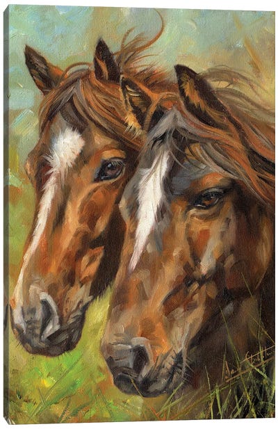 Horses Heads Canvas Art Print - David Stribbling