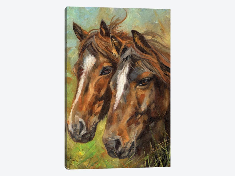Horses Heads by David Stribbling 1-piece Canvas Print