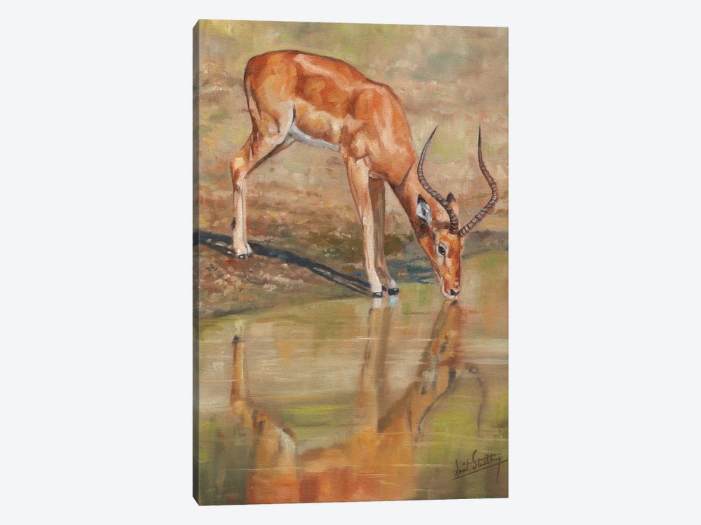 Impala Reflections by David Stribbling 1-piece Art Print