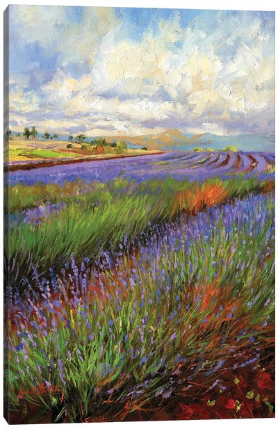 Lavender Field Canvas Art Print - Herb Art