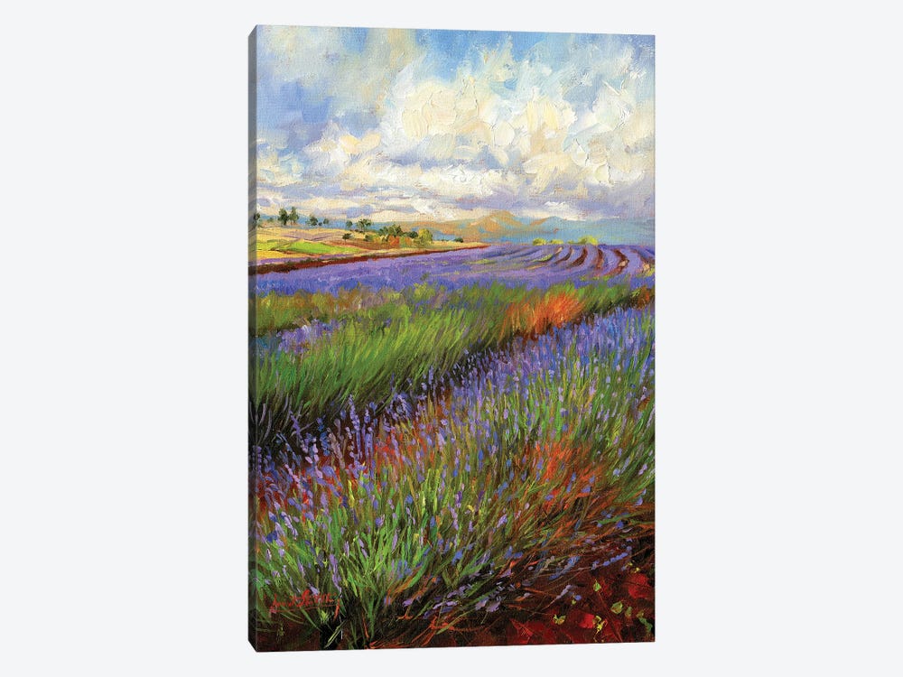 Lavender Field by David Stribbling 1-piece Canvas Wall Art