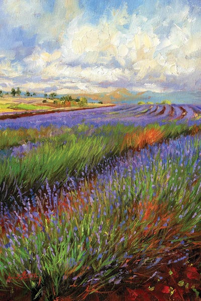 Artists Like Monet: Lavender Field by David Stribbling