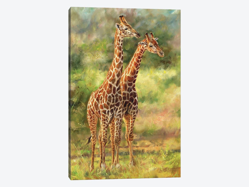Pair Of Giraffes by David Stribbling 1-piece Canvas Art