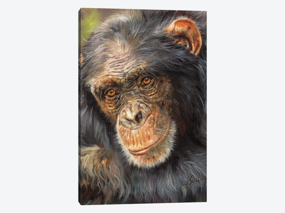 Wise Old Eyes by David Stribbling 1-piece Canvas Print