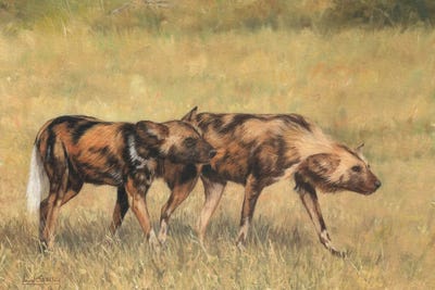 African Wild Dog Pair by David Stribbling art print