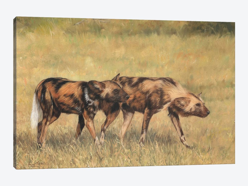 African Wild Dog Pair by David Stribbling 1-piece Canvas Artwork