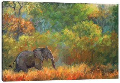 Elephant Impressions Canvas Art Print - David Stribbling