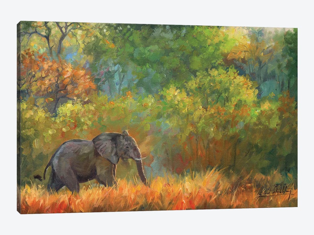 Elephant Impressions 1-piece Canvas Print