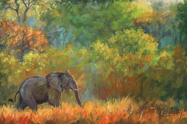 Elephants: Elephant Impressions by David Stribbling