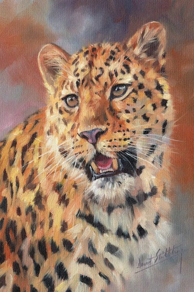 Leopard Impressions by David Stribbling art print