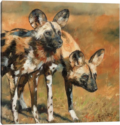 African Wild Dogs Canvas Art Print - Animal Rights Art