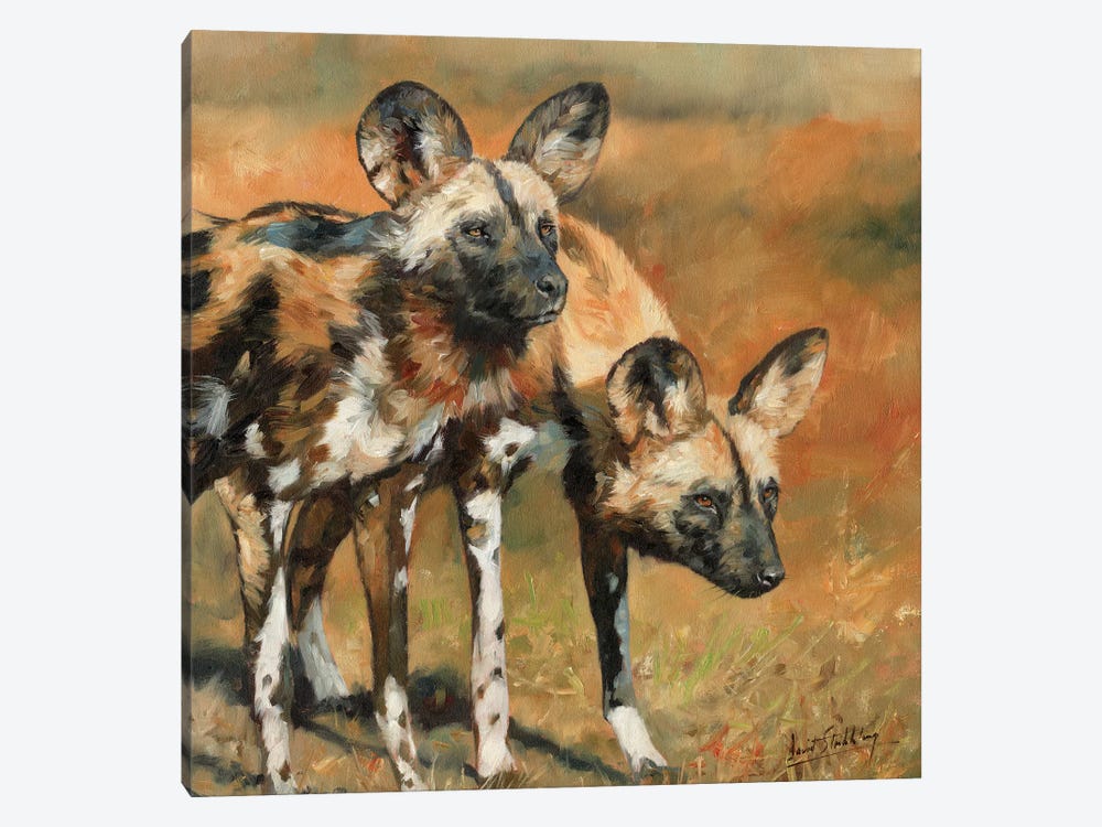 African Wild Dogs by David Stribbling 1-piece Canvas Wall Art