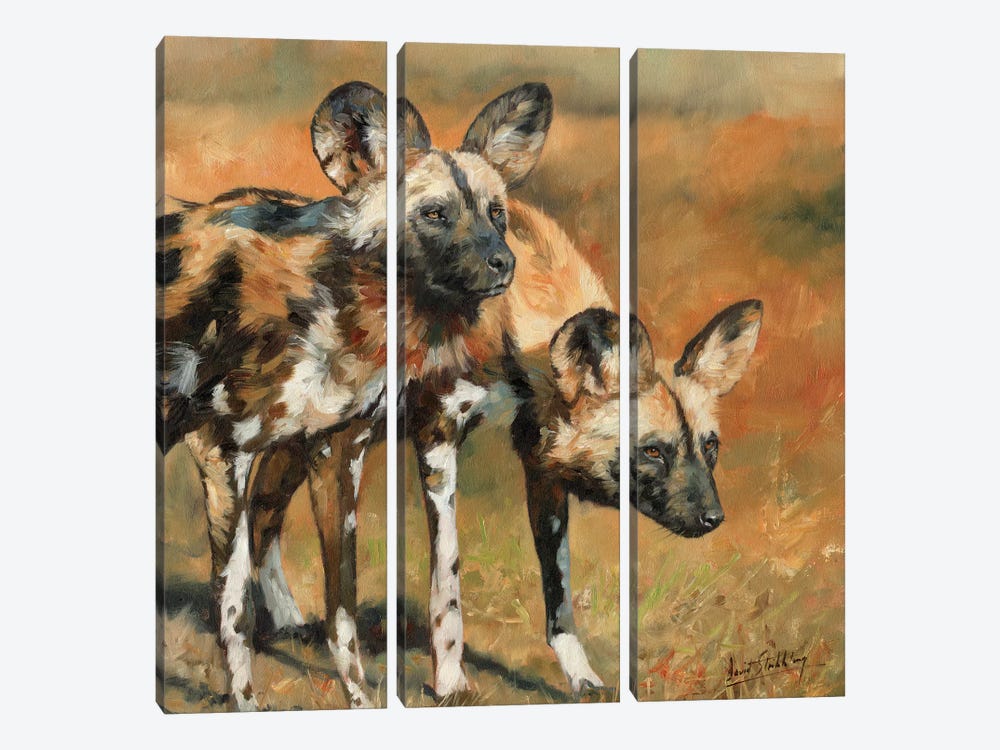 African Wild Dogs by David Stribbling 3-piece Canvas Artwork