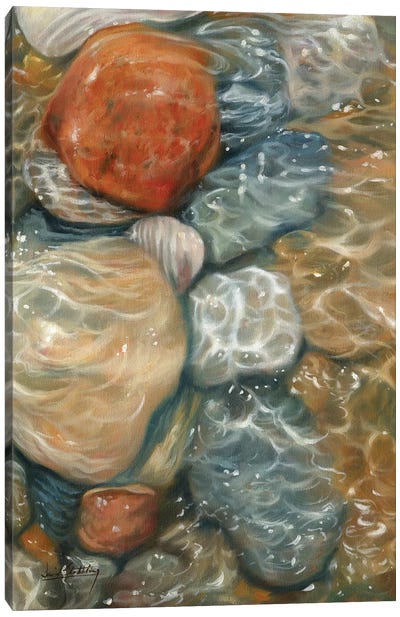 Rockpool Canvas Art Print - Water Close-Up Art