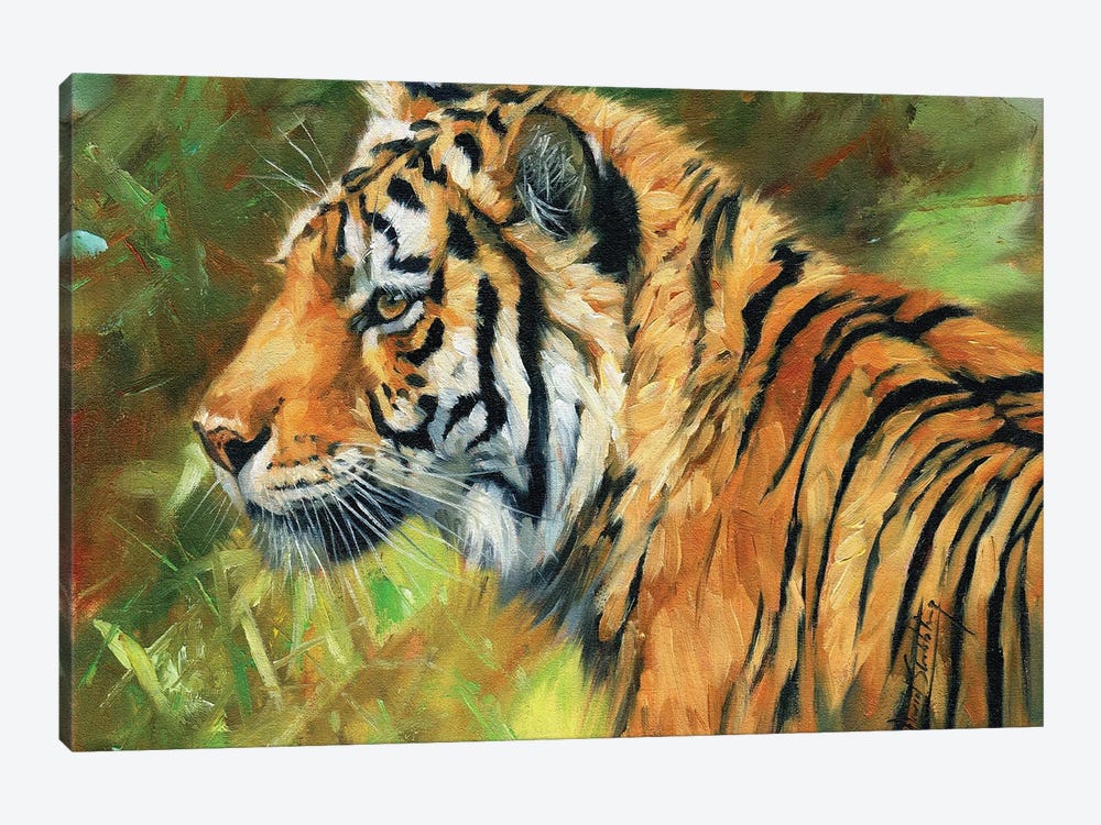 Tiger Impressions by David Stribbling 1-piece Canvas Wall Art