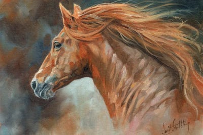 Wild And Free by David Stribbling art print