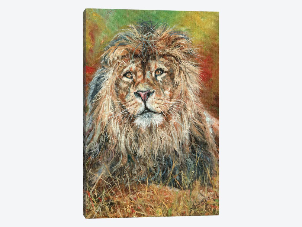 Impressions Of A Lion by David Stribbling 1-piece Canvas Art