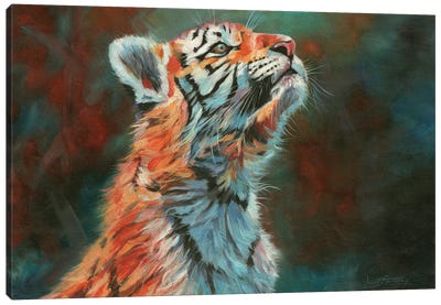 Tiger Cub. Vibrant Series Canvas Art Print - David Stribbling
