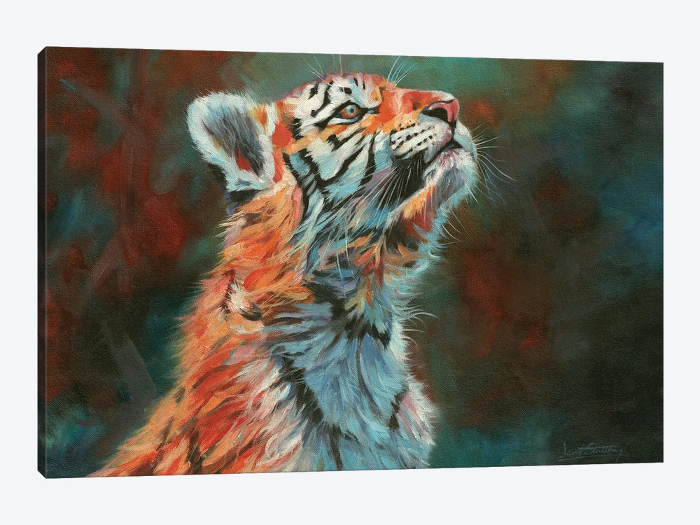 Tiger Cub. Vibrant Series by David Stribbling 1-piece Canvas Print