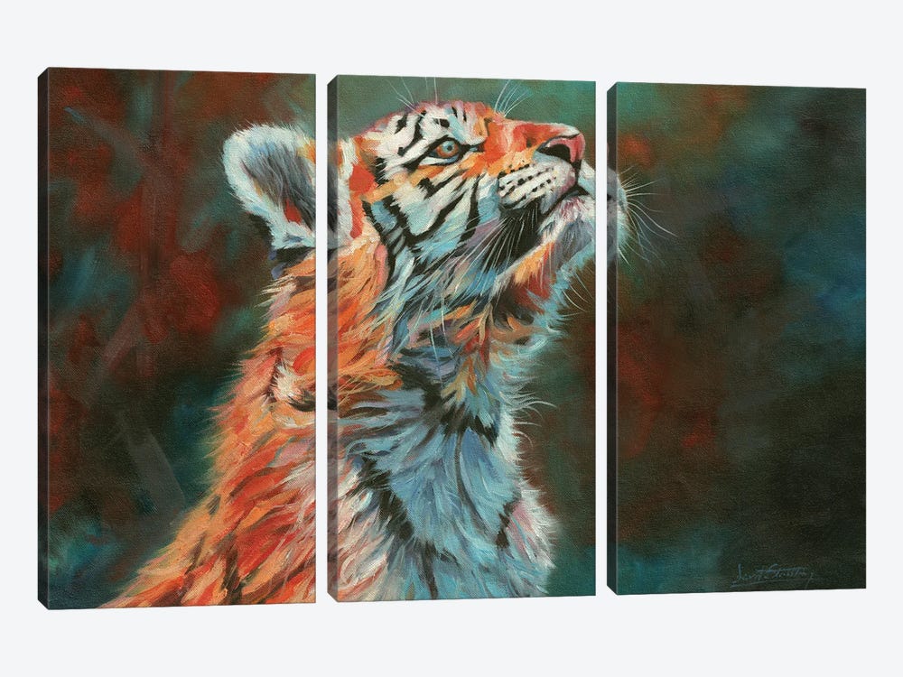 Tiger Cub. Vibrant Series by David Stribbling 3-piece Art Print