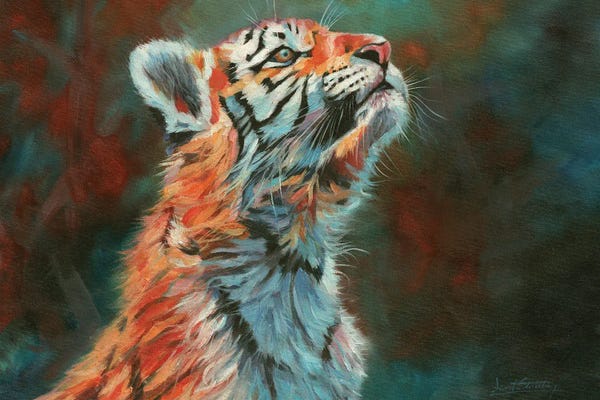 David Stribbling: Tiger Cub. Vibrant Series by David Stribbling
