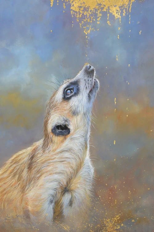 Meerkat. A Sprinkling Of Gold by David Stribbling wall art