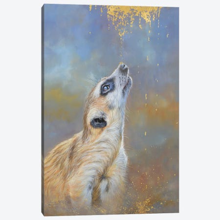 Meerkat. A Sprinkling Of Gold Canvas Print #STG309} by David Stribbling Canvas Artwork